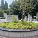 골목애서 작은도서관 | [서현도서관 방문 후기] 아이와 함께 가기 좋은 우리 동네 도서관📚