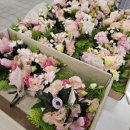 로얄튼너싱홈 이미지