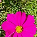 경빈농장 이미지