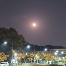 금산송어회집 | 장수 장계 재래시장 정경, 찹쌀도너츠, 김장