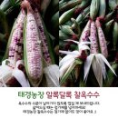 태경농장 이미지