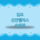 신안 웰리스 이미지