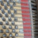 신남초교 이미지