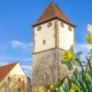 [공지사항] 2025년6월22일(주일) 이미지