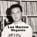 Lee Marrow - Mr. Fantasy 이미지