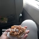 신곡2천 | 2025 부산락페스티벌 후기