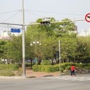 효성노인문화센터 앞 이미지