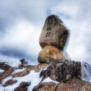 볼눈경로당 이미지