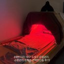 지범로 | [예쁘디온] 대구 수성구 온열관리 · 순환관리 편백전신돔 온톡스관리 후기!