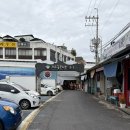 땅콩 | 제주도 디저트 선물 추천 '찰리공장 동문시장본점' 우도땅콩샌드 기념품 후기