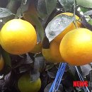 자연에너지 이미지