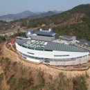 밀양대공원로 이미지