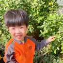 토실토실 2농장 이미지