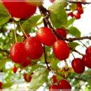 인천동명초등학교 이미지