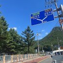 느티나무 그늘아래 평상 | 청도 운문사 평상계곡 수영장 느티나무 평상대여 무릉도원이 여기네요