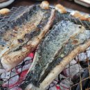 참숯불풍천장어 네이버블로그