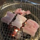살아있네산곰장어 이미지