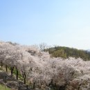 부천로264번길 이미지