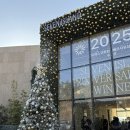 멍블라썸 | 부산 가덕도 눈 내리는 크리스마스 카페 “ 세븐 아일랜드 카페”주차꿀팁 리얼 후기