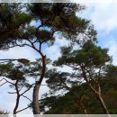 백양사 주차장 화장실 이미지