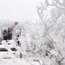 거창군청 이미지