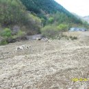 선유동1로 이미지