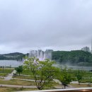 손으로 만드는 환상 쇼 | 동탄호수공원 고기집 고품달 바질품은 이베리코 황제살에 녹아내린 후기(ft.2026 루나쇼일정)