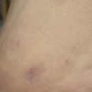 차외과의원 이미지