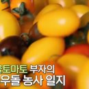 부자농장 티스토리