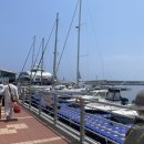 세븐일레븐 안목항점 이미지