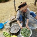 재용농장 이미지