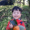 지환농장 이미지