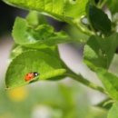 ＜롬 10:1-12＞ 하나님의 의, 자기 의, 마음으로 믿어 의에 이르고 입으로 시인하여 구원, 율법의 행위와 믿음 이미지