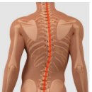 웰빙마취통증의학과의원 이미지