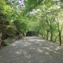 호두나무캠핑장 이미지