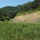 진전면100 이미지