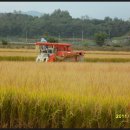 녹색농심인삼마을 이미지