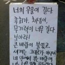하이사이 이미지