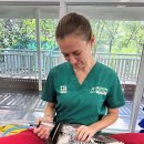 와일드 동물병원 이미지