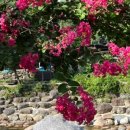 예치민박 이미지