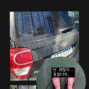 오아시스셀프세차장