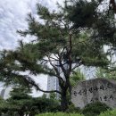 분당-360 헤럴드경제