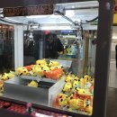 뽑다벅스