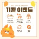 뷰티독 | 애견유치원 강아지 데이케어 미용 가격 혜택 켈리독 후기