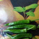 농협이용소 이미지