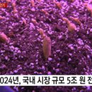 ㈜팜큐브 이미지