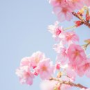 광교미소모아내과의원 이미지