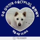 언제나동물병원 이미지