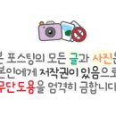 김밥35번가 이미지