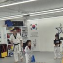 용인대스타태권도 이미지